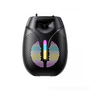 Havit SF133BT Wireless Outdoor Speaker